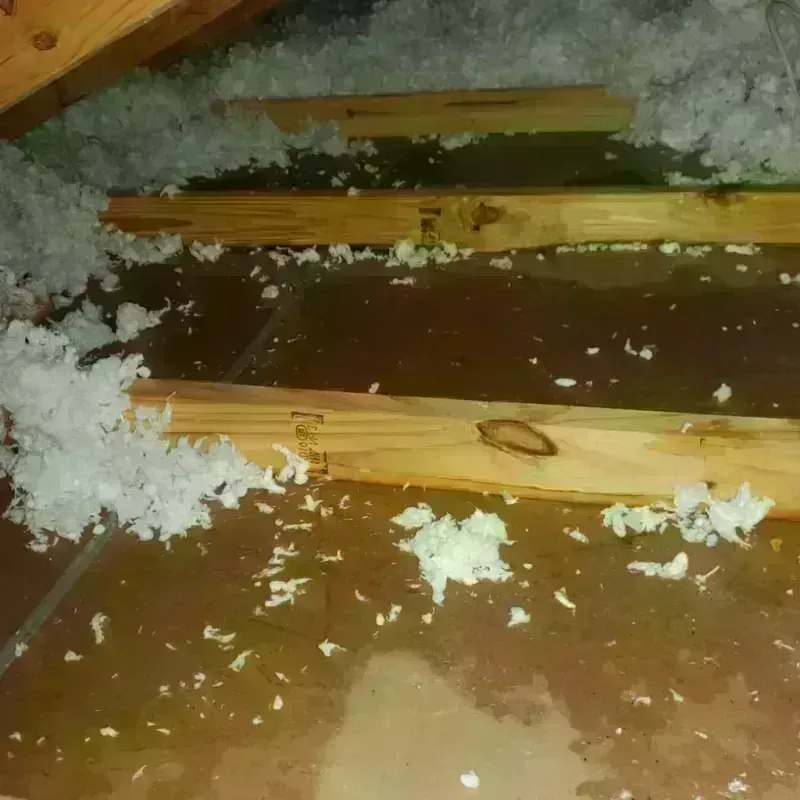 Attic Water Damage in City of Bedford, VA